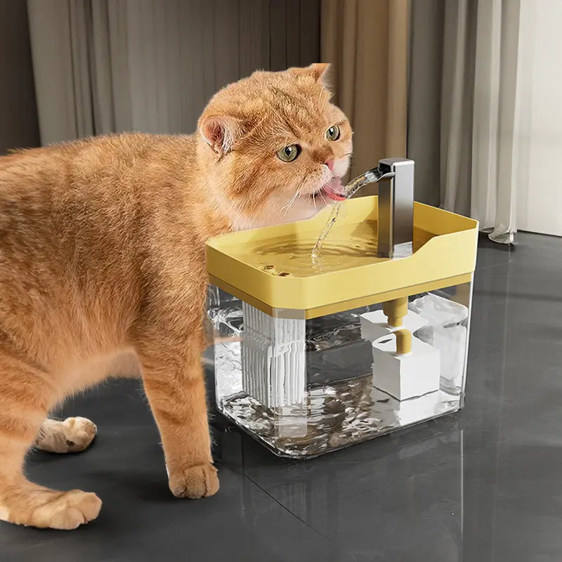 Automatic Pet Water Dispenser