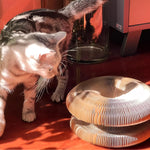 Load image into Gallery viewer, Foldable Cat Scratch Board
